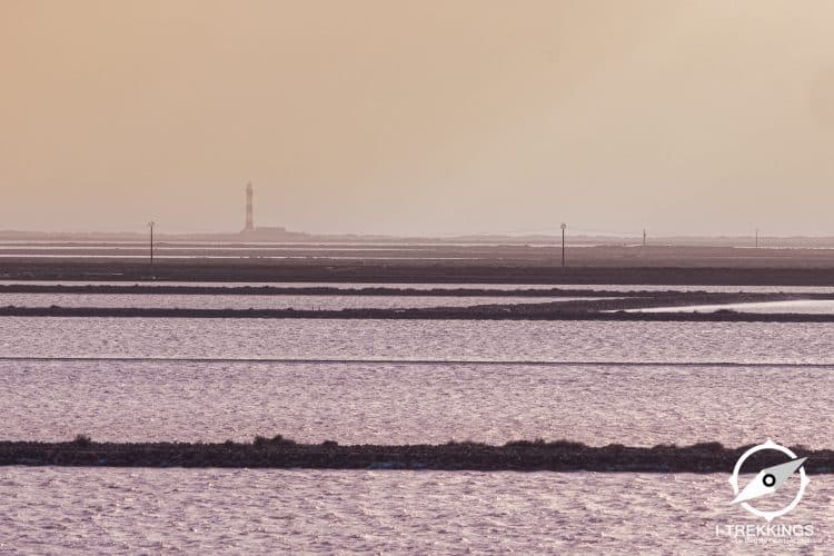 Marais salant de Salin-de-Giraud