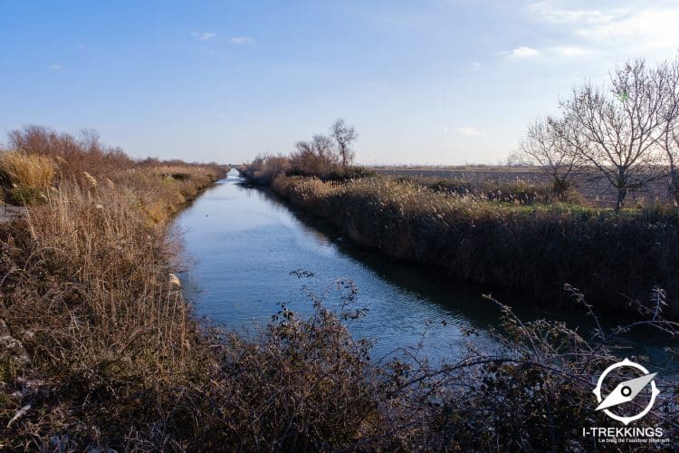 Roubine, Camargue
