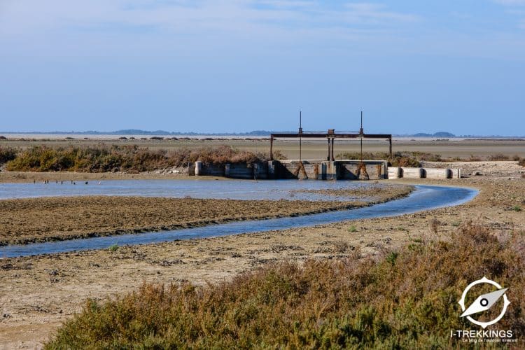 Martelière, Camargue