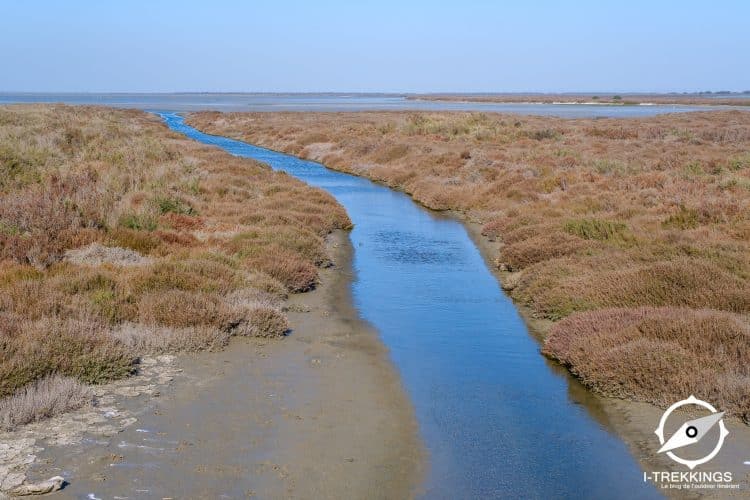 Roubine, Camargue