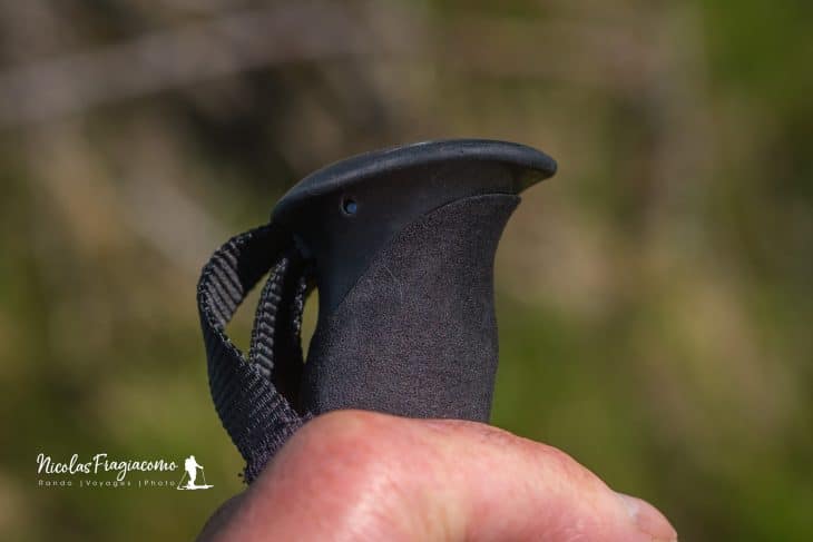 Bâtons DynaLock™ Explore Backcountry