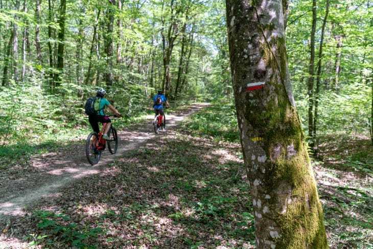 Forêt de Chaux, Echappée Jurassienne à VTT