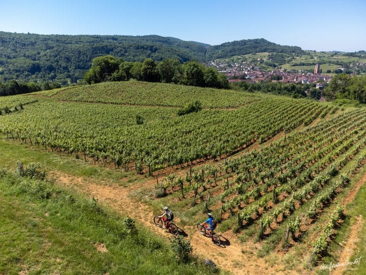 Vignes, échappée jurassienne VTT