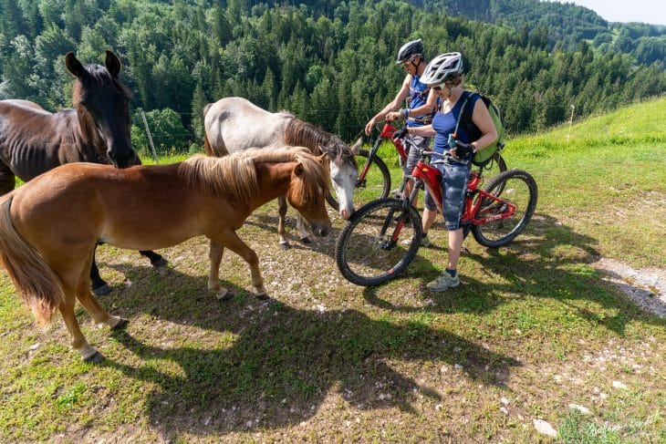 Chevaux, Echappée Jurassienne à VTT