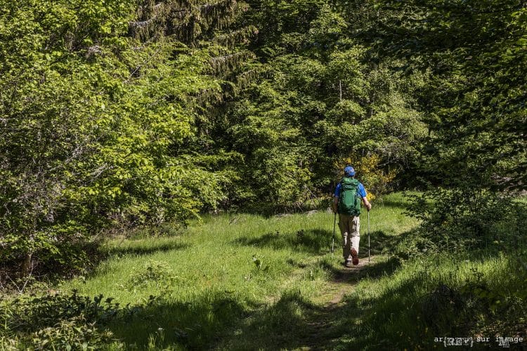 Traversée de la Margeride par le GR4