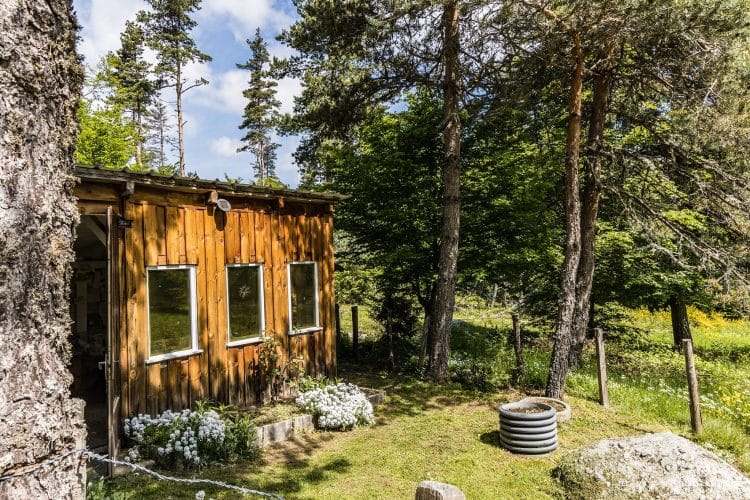 Cabane