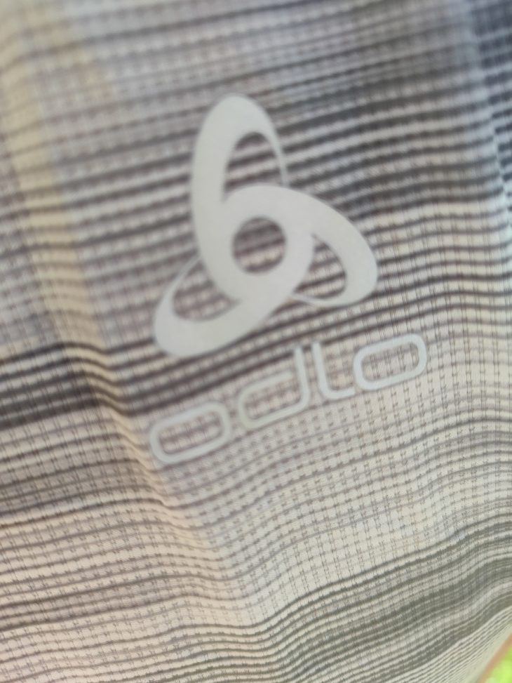 Test T-shirt Odlo Fli Chill-Tec Print