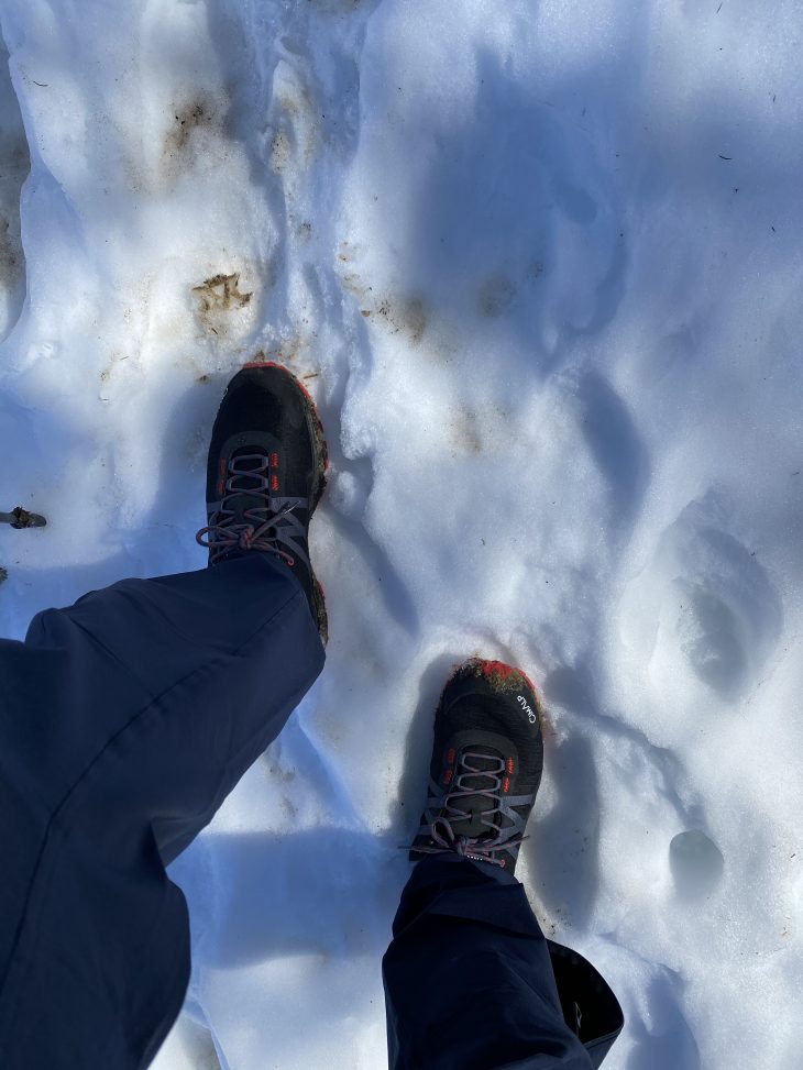 Les chaussures Cimalp 365 X-Hiking sur la neige