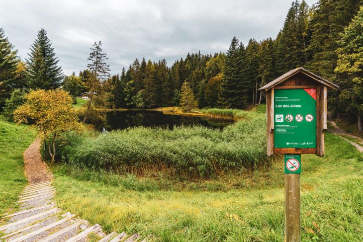 Lac des Joncs, les Paccots
