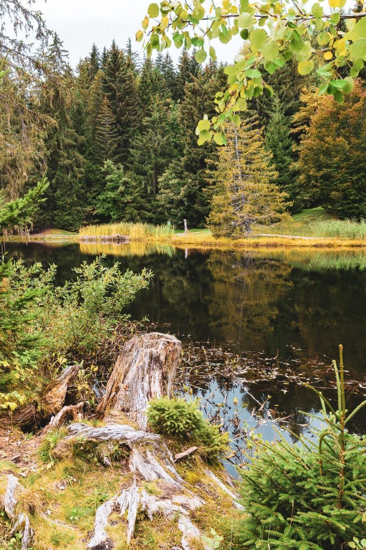Lac des Joncs, les Paccots