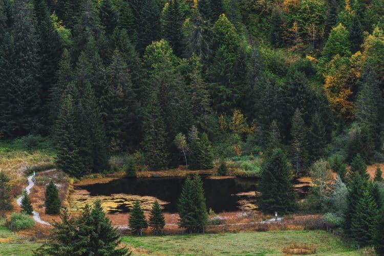 Gouille de Rathvel, les Paccots