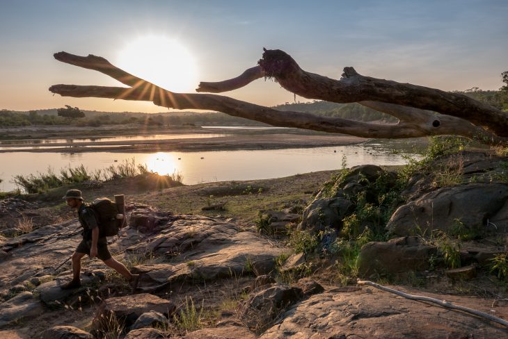 Olifants trail, parc Kruger