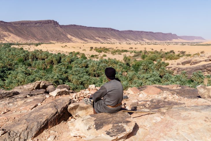Oasis de l'Adrar