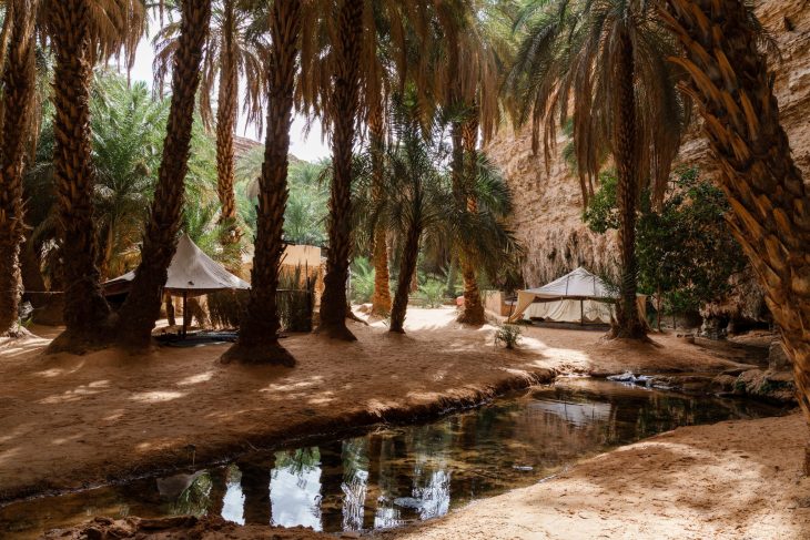 Oasis de Terjit, Mauritanie