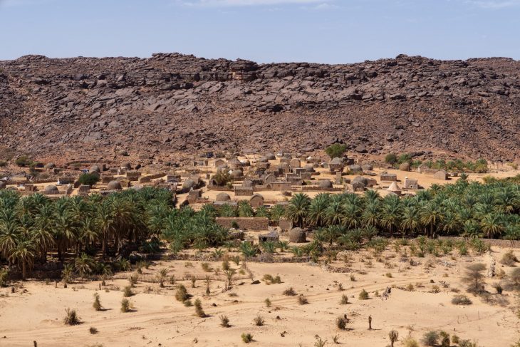 Palmeraie de Maireth, Mauritanie