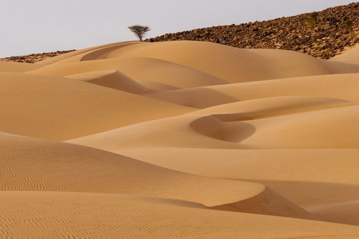 Dunes d'Erma, Mauritanie