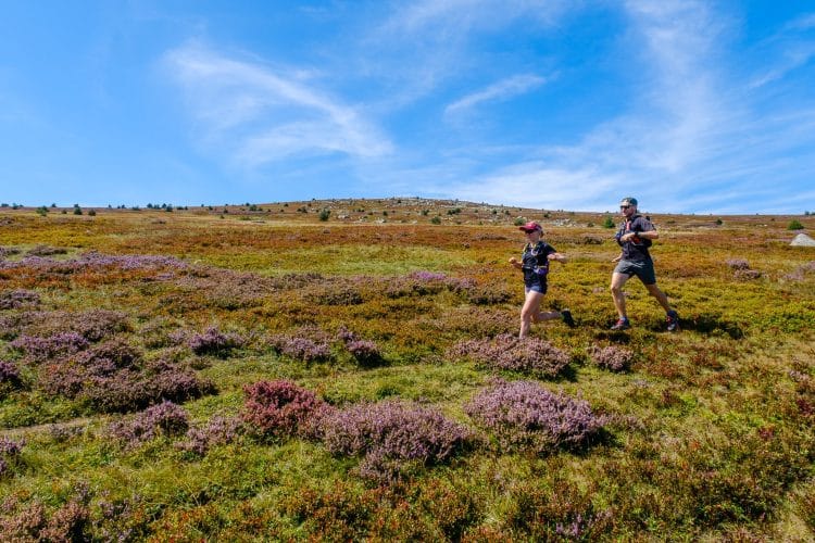 Mont Lozère, GR®7, traversée du Massif Central par les parcs
