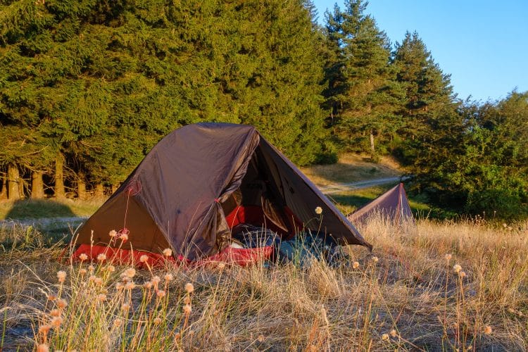 Bivouac près du Col salidès, GR®7, traversée du Massif Central par les parcs