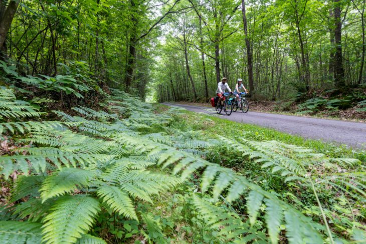 Vélobuissonnière vélo route v44 Sarthe Alpes Mancelles