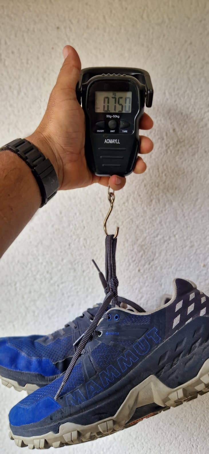 Poids des Mammut Sertig II Low GTX en 45 1/3
