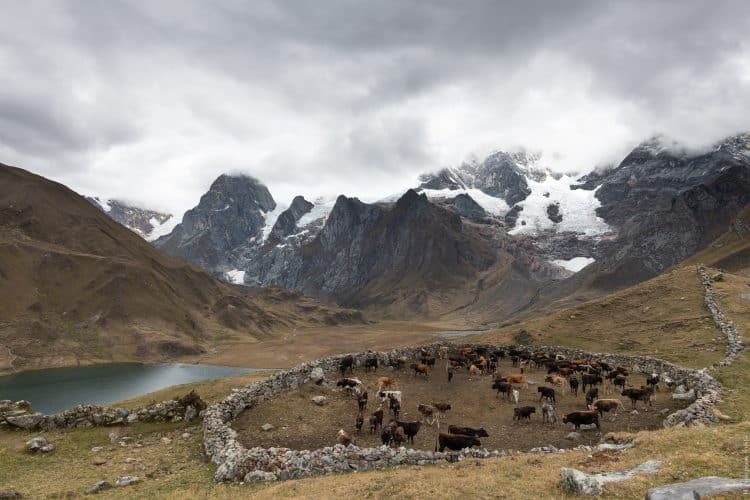 Tour de la cordillère Huayhuash