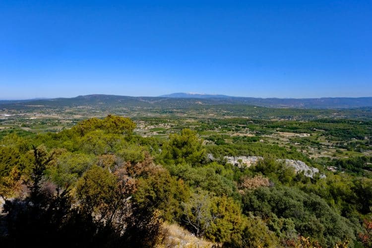 Panorama sur le mont Ventoux (Petit Luberon, Vaucluse)