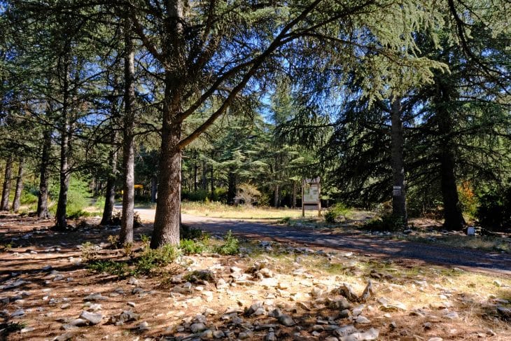 Plateau sommital du Petit Luberon (Vaucluse)