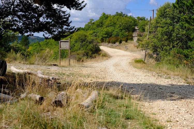 Crête du Jas de Brémond (Grand Luberon, Vaucluse)