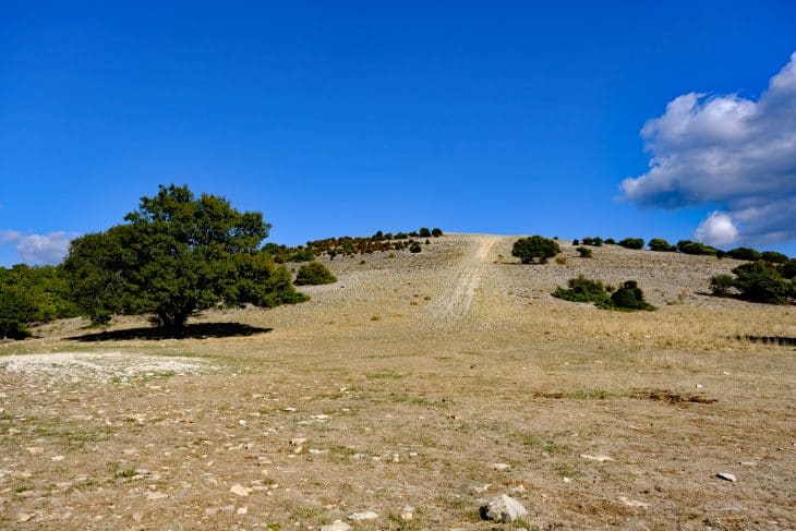Crêtes du Grand Luberon (Vaucluse)