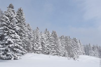10 idées et conseils pour des cadeaux outdoor éco-responsables