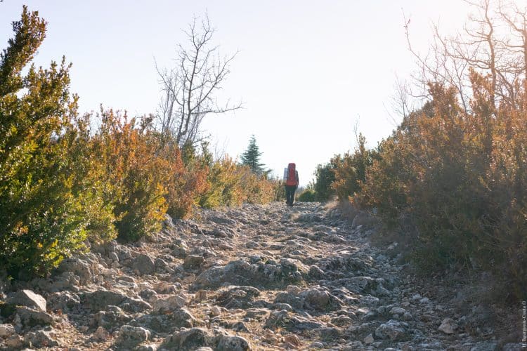 Tour des jas du Ventoux
