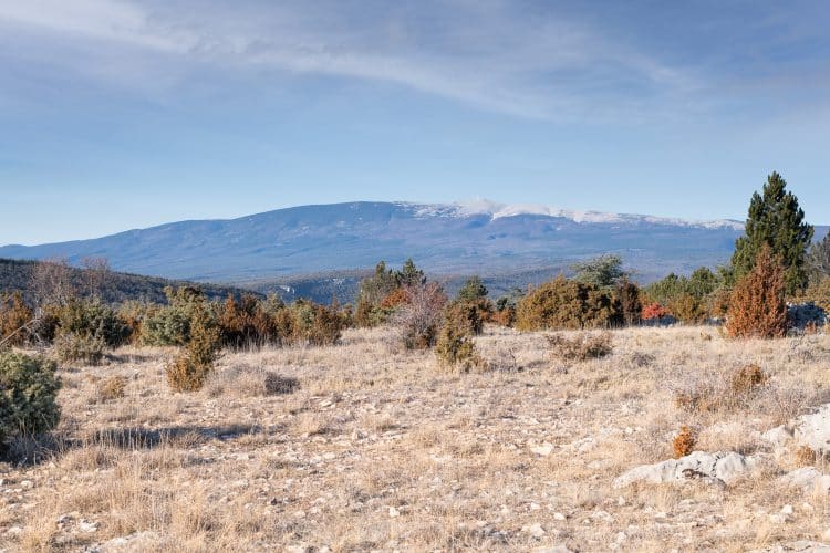 Vue sur le Ventoux
