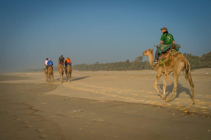 Méharée au Sénégal