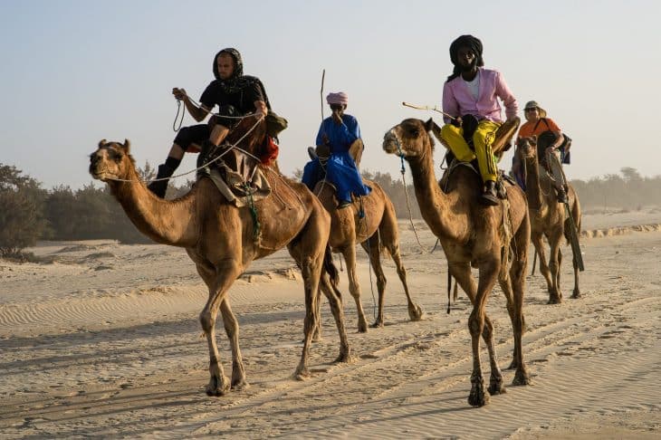 Méharée au Sénégal