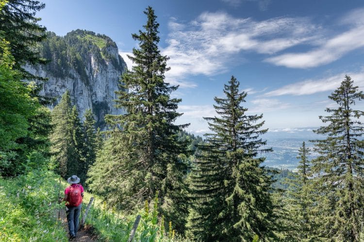 Tour et belvédère du lac d'Annecy par le Petit montoir