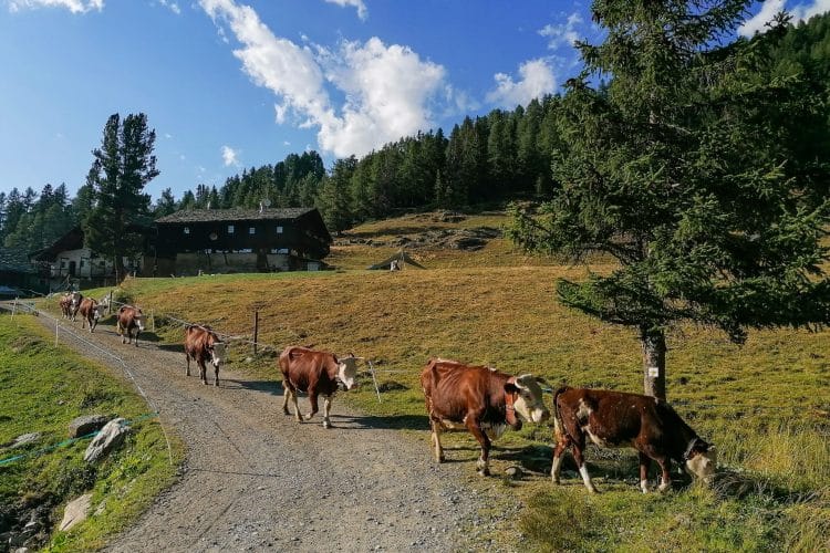 Tour des Six en vallée d'Aoste