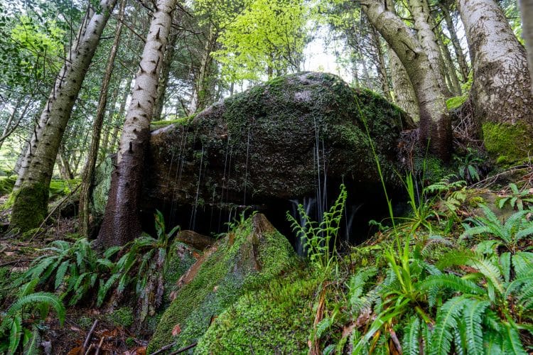 Fontaine du Coquin, GR® de Pays de la Déodatie (boucle Nord)