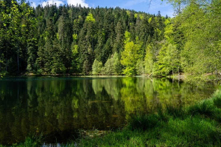 Lac de la Maix, GR® de Pays de la Déodatie (boucle Nord)