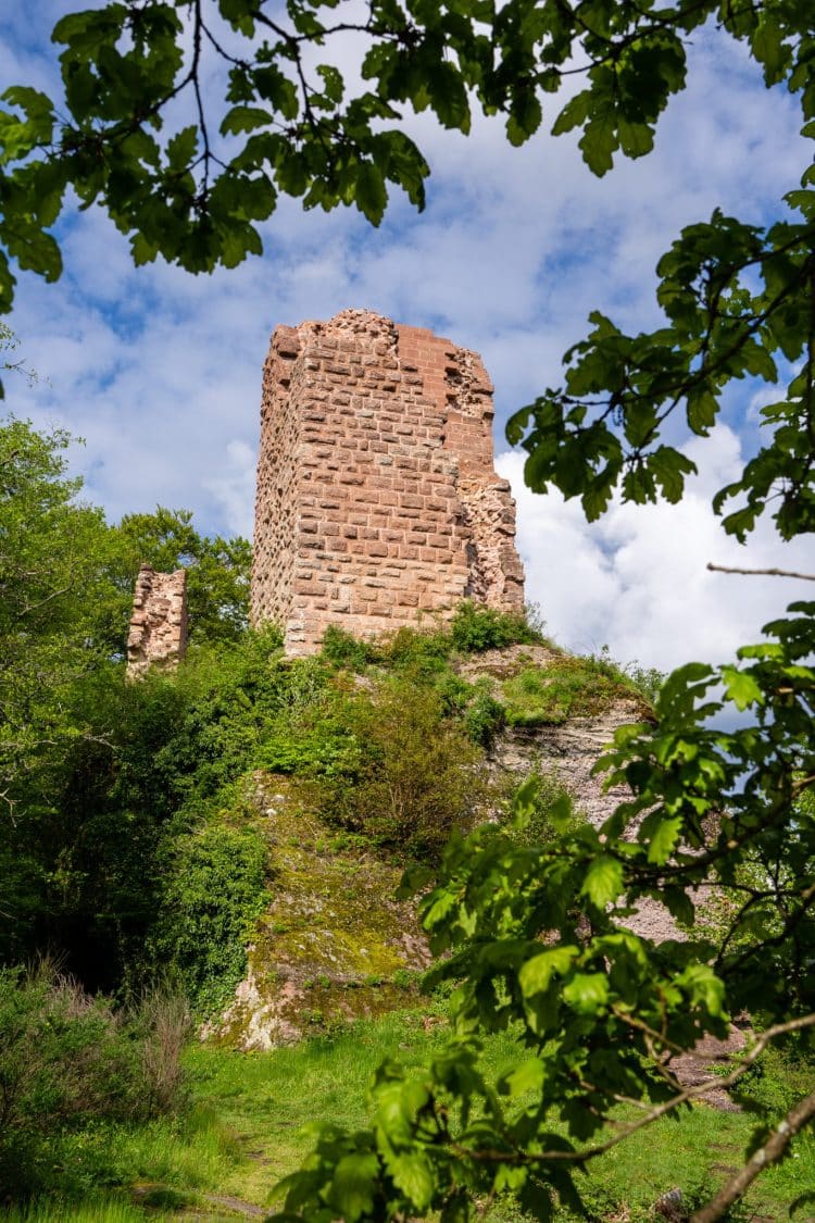 Château de Salm, GR® de Pays de la Déodatie (boucle Nord)