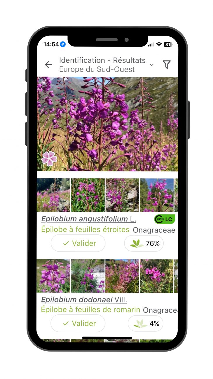 Plantnet