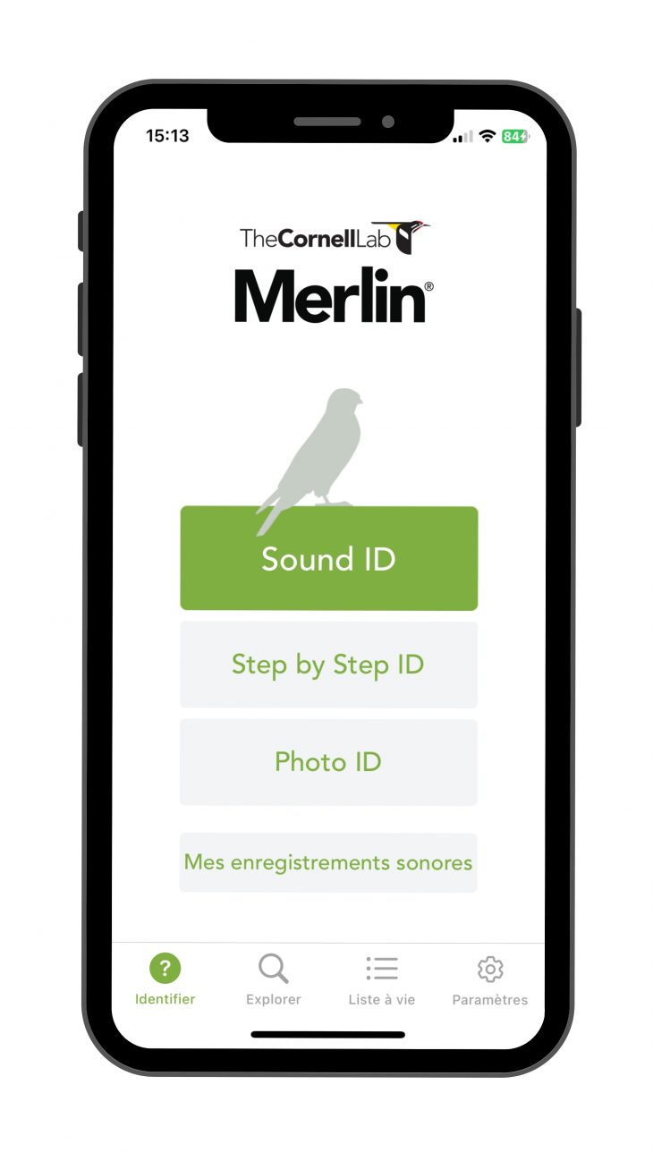 Merlin Photo ID