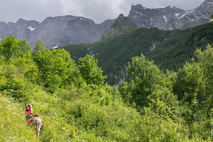 Tour de la Vallaisonnay en Vanoise avec un âne