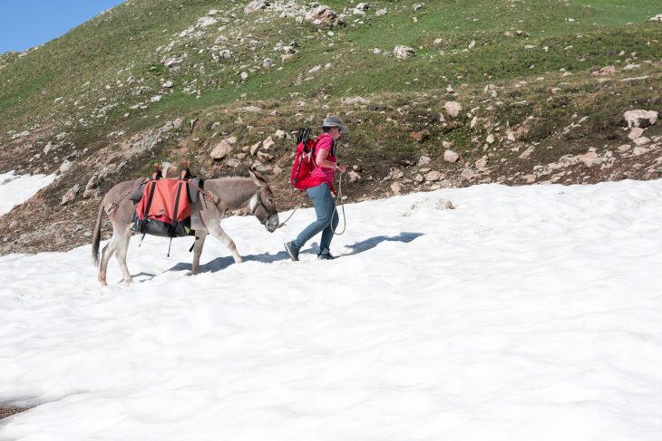 Tour de la Vallaisonnay en Vanoise avec un âne