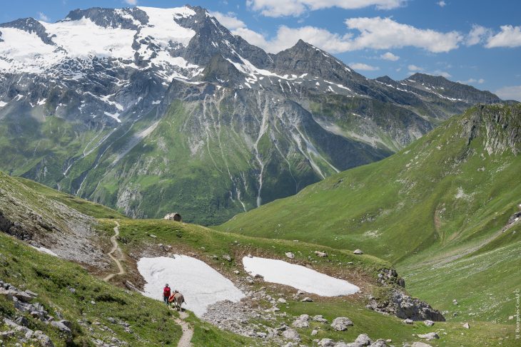 Tour de la Vallaisonnay en Vanoise avec un âne