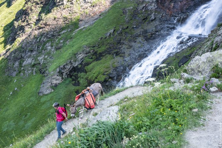 Tour de la Vallaisonnay en Vanoise avec un âne