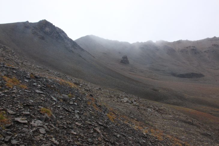 Alaska : Le Parc National Denali à pied