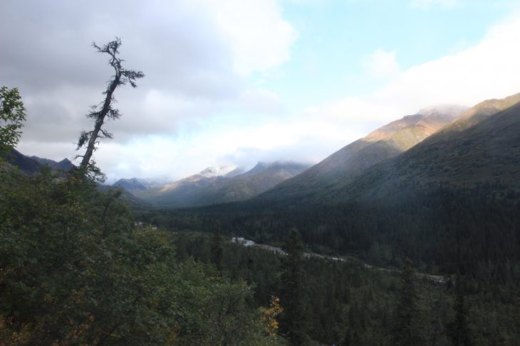Alaska : Le Parc National Denali à pied