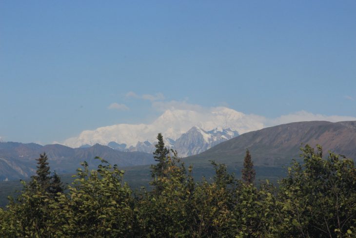 Parc National Denali