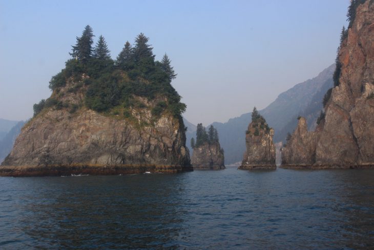 Parc National de Kenai Fjords