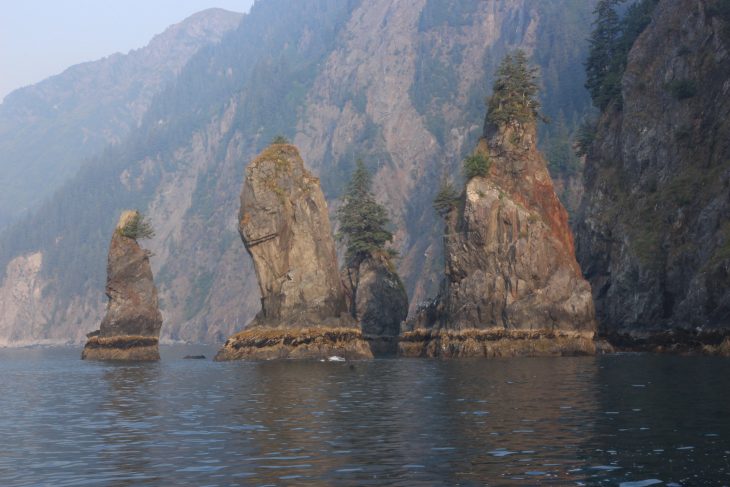 Parc National de Kenai Fjords